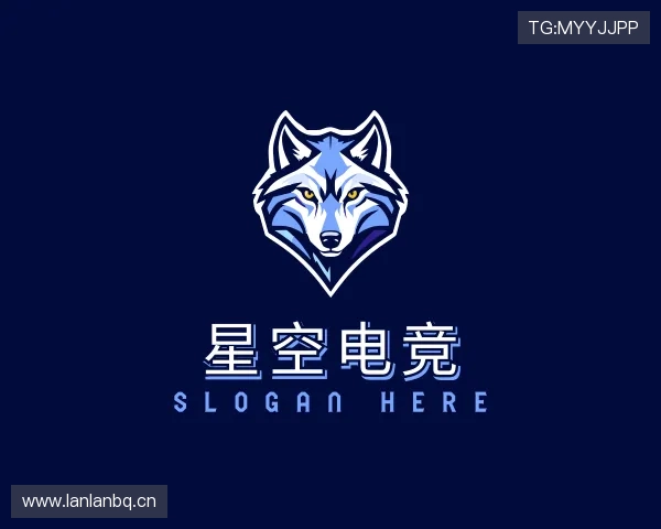 介绍星空电竞